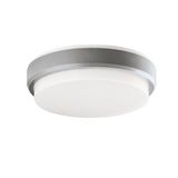 Outdoor PC Ceiling Lamp Silver Tinos