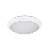 START Surface IP66 900-2950LM 840 IK10 WHT