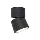 Reef CCT Adjustable Surface Downlight Black