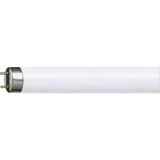 Fluorescent lamp T8 - 26mm diameter, light colour 827, high luminous efficiency, good colour rendering, long life, base G13