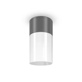 Outdoor Willis Ceiling lamp Graphite