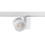 BEACON WW LED DALI 3K L3 WHT