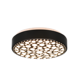 Chizu LED ceiling lamp 28 cm matt black