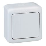 Two-way switch Forix - surface mounting - 10 AX - 250 V~ - grey