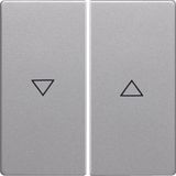 Rockers with imprinted symbol arrow, Q.1/Q.3, aluminium velvety, lacqu