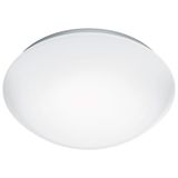 Rs Pro Led P2 Em,White,Pmma,Ip54,4000K,Ø4000