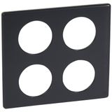 2X2 GANG PLATE CARBONE