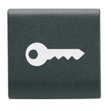 INTERCHANGEABLE BUTTON KEY - 22X22mm - KEY - SATIN BLACK - CHORUSMART