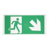 P-LIGHT Emergency , stair signs for area light, green