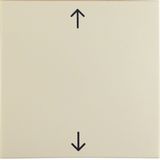 Rocker imprinted arrows symbol, S.1, white glossy