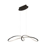 Modern Curve Pendant lamp Black