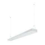 LINEAR IndiviLED® DIRECT/INDIRECT EMERGENCY 1500 56 W 4000 K EM