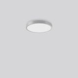 TRIONA round, 28 W, 3150 lm, 830, silver, DALI Ceiling and wall lumina