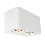 2/L Ceiling Light White Arion