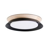 TENDER CEILING LAMP BLACK LED 24W 3000K