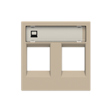 N2218.2 CV Cover plate Data connection 1 gang Champagne - Zenit