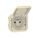 069828L Plexo 16A 250V IP55 IK08 waterproof 2P+E power socket with sand finish cover