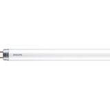 LED T8 600mm 8W G13 CDL 1CT/4