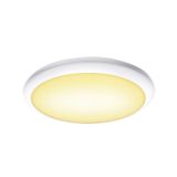 RUBA 42 22W 3000/4000K 60ø 230V LED IP65 white