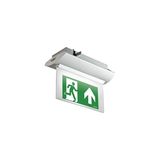 OZD1LS61LTC HORZN LEDS REC-EDG SIGN 230LTC