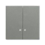 1785 K-803-500 Mechanical Controls None for Switch/push button, Two-part rocker grey metallic - 63x63