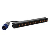 PDU 19 inches 1U 12 x C13 IEC 60320 standard