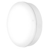 SURFACE BULKHEAD 300 SENSOR EMERGENCY 15W/3000K WT IP65