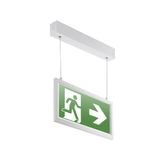 XT230H/DALI DALI LED SUSP EXIT SIGN 30M