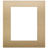 Classic plate 8M technopolymer matt gold