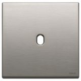 Plate 2Mx1 Vintage brushed nickel