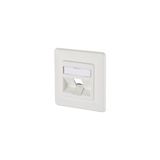 Keystone wall outlet flush mounted 1 port unequipped pure white