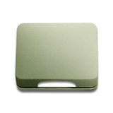 1746-260-101 CoverPlates (partly incl. Insert) carat® Palladium