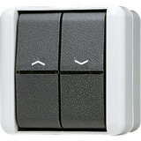 2-gang blind switch/push-button 10 AX 809VW