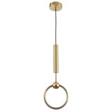 Suspended Light  Gold  Axel