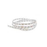 LED Strip 9.6W/m 600SMD BZ CW IP67 5m ORO