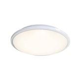 Eclipse MultiLED CCT DALI Emergency White