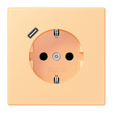 SCHUKO socket with USB type C LC4320P LC1520-18C258