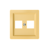 5014G-A02018 D1 Data Socket Outlet