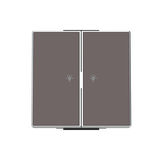 8596.21 TP Rocker light.2 ch. Symbol "light" for Switch/push button, Two-part button Brown - Sky Niessen