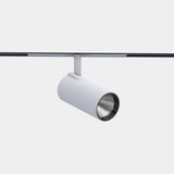 Spotlight Strom 55 LV 24 LED neutral-white 3500K CRI 90 39.1º CASAMBI Textured white 2252lm