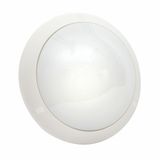 VANDALPROOF-BULKHEAD-SPO-IP55-S2-32WEL-HF-SENSOR-WHITE-TO-BE-EQUIPED