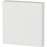 Rocker single, glossy alpine white