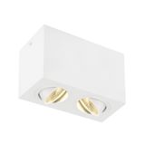 TRILEDO Double, LED Indoor ceiling light, white, 3000K, 16W