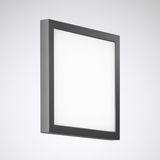 Wall and ceiling luminaire Skeo Pura Lens Anthracite ET 25W 1500lm Lambertian (L) IP65 IK07 5 SDCM