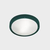 Ceiling fixture IP66 BASIC LED 11.7W 2700K Fir green 1269lm