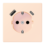 SCHUKO socket with USB charger LC32082 LC1520-15CA226