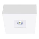 Square plug over housing B1 for emergency luminaires NLILD..