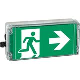 Ex-escape sign luminaires EXIT 2 V-CG-S for zone 2/22, Pictogram: DIN ISO 7010, Arrow: 6 Clock