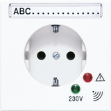 Socket w. Overv.Protection LS521NAUFWW