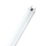 Fluorescent Tube MIX  58W/865 T8 MIX ELG